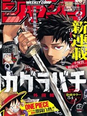 漫画大王书架条目封面：雪线以南